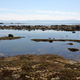 Illustration for article titled Pics from the (Ocean Floor): 2018-05-05 at Botanical Beach